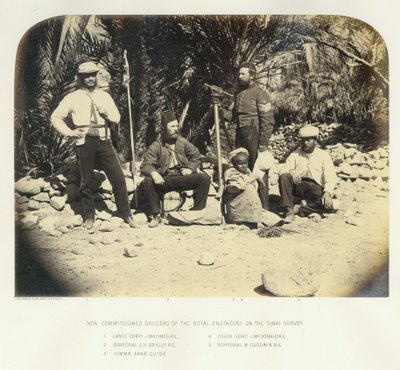 Mitglieder der Sinai-Expedition, 1868 von English Photographer